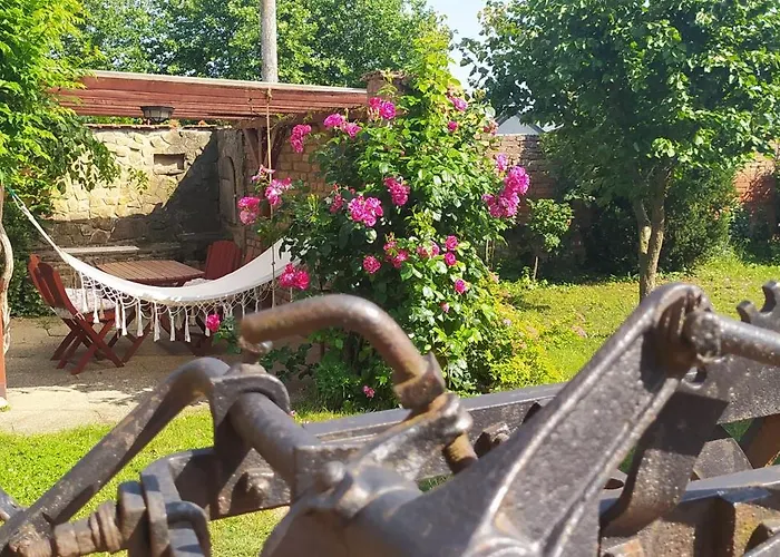 Starý Dvůr Pod Pálavou * Šakvice